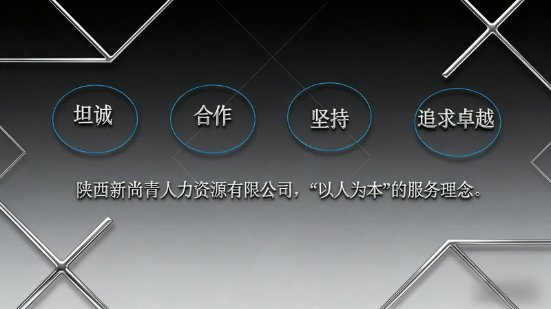 新尚青企业价值观